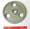 IOMEZH25-Olympic Plate,EZ Lift,Hammertone,25 Lbs