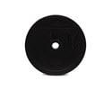 IRUBO25-Olympic Plate, Rubber, 25 lb