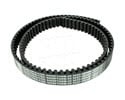 LSU1001-Lower Timing Belt