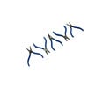 MCT050-Snap Ring Pliers,*(Set of 5)*