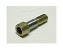 PRX43294-101-Discontinued, Screw, 556