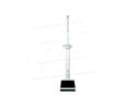 SA511-Discontinued, Electronic column scale
